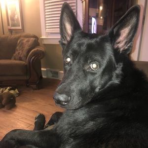 Meet your Posher, Bryon austin